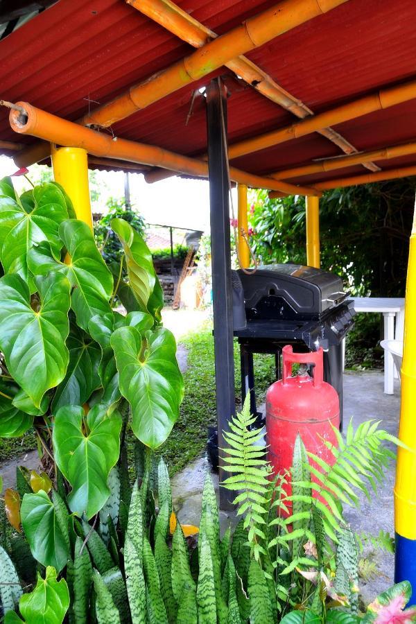 Casa Finca Villa Luz A 800 Mts Del Parque Del Cafe Montenegro Bagian luar foto